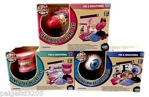 Aww-Smart Cardiology Deluxe Set - HEART Only!!! - Picture 1 of 2