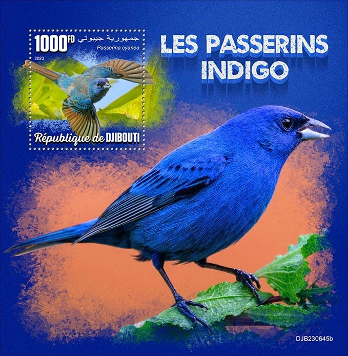 2024 11 - DJIBOUTI - INDIGO BUNTING              1V  complet set    MNH ** - Image 1 of 1
