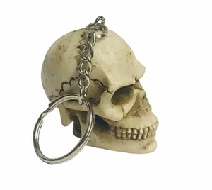 SKULL HEAD KEYCHAIN SKELETON KEY CHAIN - Picture 1 of 4
