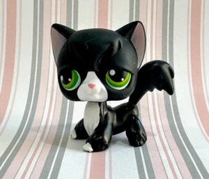 Littlest Pet Shop #55 smoking noir blank chat angora Hasbro 2004 - Picture 1 of 9
