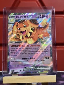 Dachsbun ex (#067/142) - Holofoil SV - Stellar Crown NM Pokemon - Picture 1 of 2