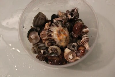 Aquarium landscaping natural stone, granite, marble, composing wood and lots of - Image 1 of 4