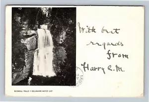 Delaware Water Gap, Bushkill Falls, Schlucht, um 1904 Vintage Souvenir Postkarte - Bild 1 von 2