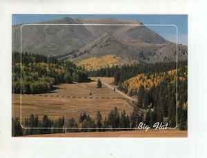 Vintage Post Card - Big Flat - Beaver Mountains - Utah - Picture 1 of 2