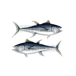 Albacore - Fisch Aufkleber Angeln Jagd Autoaufkleber "3in SET" F1 D& - Bild 1 von 2