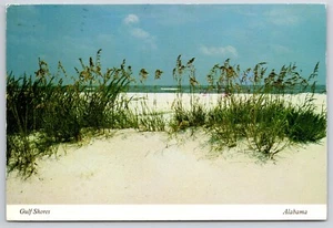 Tarjeta postal Gulf Shores Beach arena blanca Sure Sea Oats Alabama AL 6x4 - Imagen 1 de 2