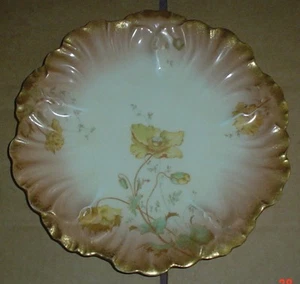 G D & C Limoges France Very Old Cabinet Plate Very Pretty Flowers Floral #1 - Picture 1 of 2