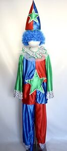 Childs Traditional Clown Costume Circus Fancy Dress & Wig Age 12 13 14 Tween