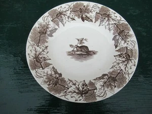 RARO Antiguo T FURNIVAL & Sons CASTOR DE ARCE HOJA DE ARCE 10" Plato SOPA MUY ANTIGUO - Imagen 1 de 10