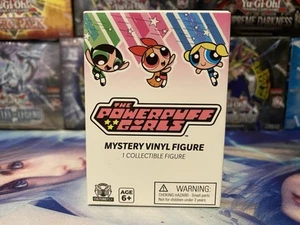 The PowerPuff Girls Mystery Vinyl ULTRA RARE CHASE (HIM) - Picture 1 of 3