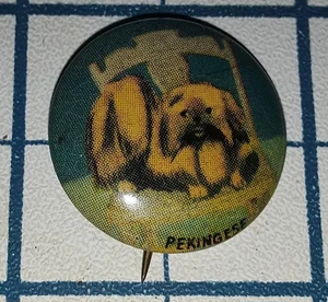 c1917 PEKINGESE Dog Pin Metal Badge Pinback Animal Pet Vintage Button - Picture 1 of 3