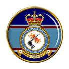 Fire Fighting and Rescue Service, RAF Pin Badge