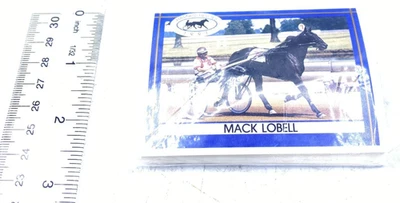 Arnés Héroes Coleccionista 30 Cartas 1991 Arnés Caballo Juventud Base Nuevo Precintado Foto 1 de 4