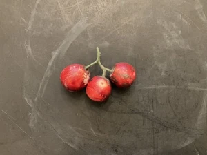Vintage Stone Fruit Red Cherries Cluster of 3 - Picture 1 of 5