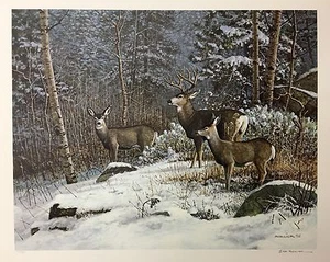 Scott Zoellick "Meeker Mountain Mules" Ciervo SN LE Impresión 21.5X17 - Imagen 1 de 2