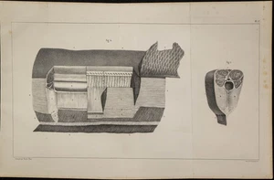 1839 - Tabla Anatomía - Cuerpos Eléctricas De Gymnote Gymnotus, Pescado - Picture 1 of 5