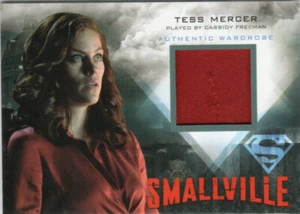 Smallville Seasons 7-10 Wardrobe Costume M23 Cassidy Freeman Tess Mercer VARIANT - Picture 1 of 1
