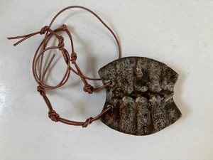 Fossil Ammonite Hongshan China - Picture 1 of 4