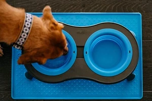 Raised Dog Bowl Double Elevated Feeder Pro Blue Dog 2 Bowls Water or Food Dexas - Picture 1 of 5