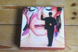 10 CD box set - David BOWIE live - ft. Klaus Nomi, Iggy Pop, Cher - Japan Canada - Picture 1 of 7