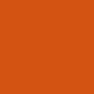 BLAZE ORANGE BASECOAT - Picture 1 of 6