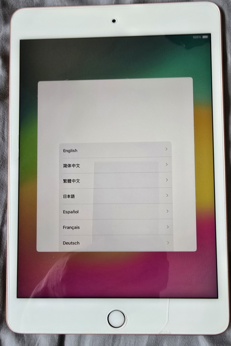 Apple iPad Mini (5th Generation) 256GB for sale - eBay Apple iPad Mini (5th Generation) 256GB for sale - eBay