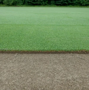 Premium Creeping Bentgrass Seed 160,000 seeds - Picture 1 of 4