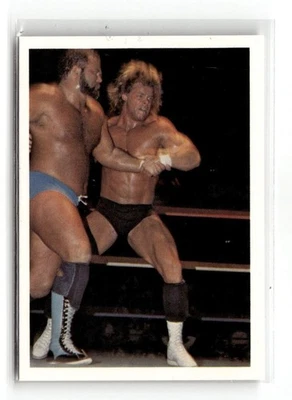 1988 Wonderama WCW NWA - Lex Luger / Arn Anderson #7 - Image 1 of 2