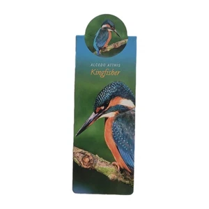 Cardmarks Kingfisher Bird Wild Nature Magnetic Magnet UK Company If 2402 Y2k 00s - Foto 1 di 14