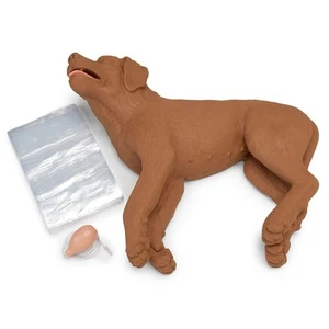 Casper CPR Training Manikin Dog 5000EX UK Pet First Aid - Picture 1 of 5