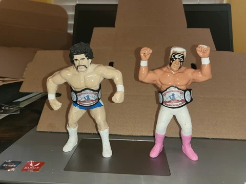 WWF WCW HASBRO UWF STING AND RICK STEINER GALOOB WRESTLING FIGURE MATTEL Cover