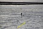Photo 12x8 East Devon : River Exe Estuary Exmouth A man in the sand and mu c2013
