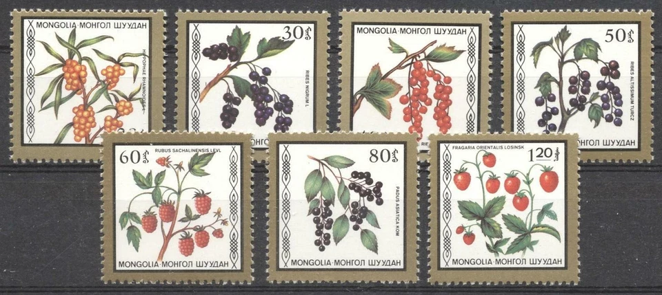 (197668) Frutas, plantas, Mongolia Foto 1 de 1