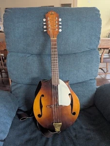 GITARRENBAUER MANDOLINE / SUPER AUSGEFALLENES TONHOLZ / 20 JAHRE NEU / CHECL IT OUT - Bild 1 von 8