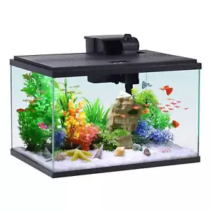 10-Gallon Glass Aquarium Starter Kit-Popular - Picture 1 of 7