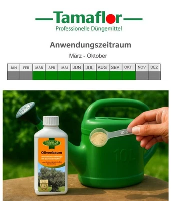 Oliven.  Dünger Konzentrat,  Blumendünger  wirkt sofort,  Profi Dünger  250 l - Bild 1 von 4