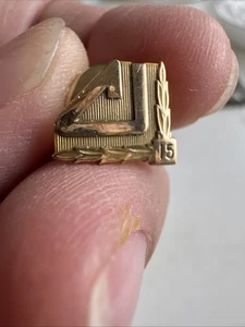 Cooper Industries de oro de 10 quilates (1/5) con 15 años de servicio - Bild 1 von 5