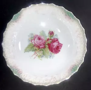Bavaria Dresden Porzellan Schale floral Rosen Vintage glänzender Rand detailliert 9" - Bild 1 von 13