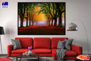 (Laminated) Colorful Misty Forest Trees Rows Photograph 91x61cm - Picture 1 of 6