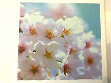 Carte Postale JAPON papier luxe WASHI photo CERISIER fleur Rose NEUF blister
