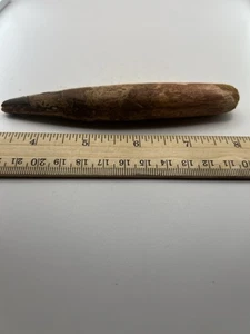 Spinosaurus 5.75” TOOTH  Teeth Dinosaur Fossil before T Rex Cretaceous C45 - Picture 1 of 5