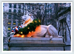Lion New York Public Library New York City Vintage 4.75"x6.5" Postcard SBP16 - Picture 1 of 2