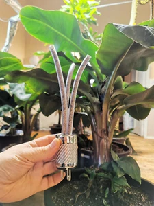 Abysscurum AC Cleaner TREE | Rare One-of-a-Kind Audiophile Power Purifier - Picture 1 of 7