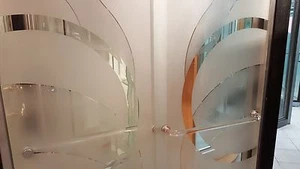 SHOWER DOOR PARTS (ACRYLIC CAST) GOLD ACCENTS CLEAR LOOK THROUGH GLASS - Picture 1 of 2
