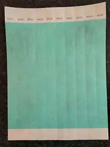 100 BRACCIALETTI ACQUA TYVEK 3/4", BRACCIALETTI PER EVENTI, BRACCIALETTI DI CARTA - Foto 1 di 1