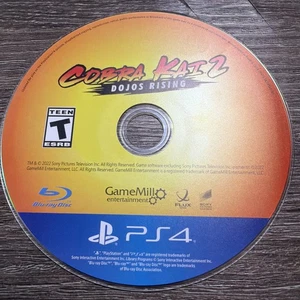 Cobra Kai 2 Dojos Rising PlayStation 4 CD - Foto 1 di 1