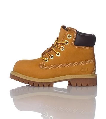 Little Kid's Timberland 6 In. Premium Boot Wheat (2025 Model) - Image 1 of 4