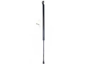 Rear Liftgate Lift Support For 00-06 Honda Insight ZN49C6 Liftgate Lift Support