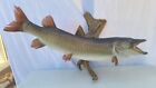 36" Muskellunge Muskie Musky Taxidermy Fish Mount Real Skin Large Drift Wood