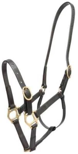Zilco 19mm PN Halter - Pony - Picture 1 of 20